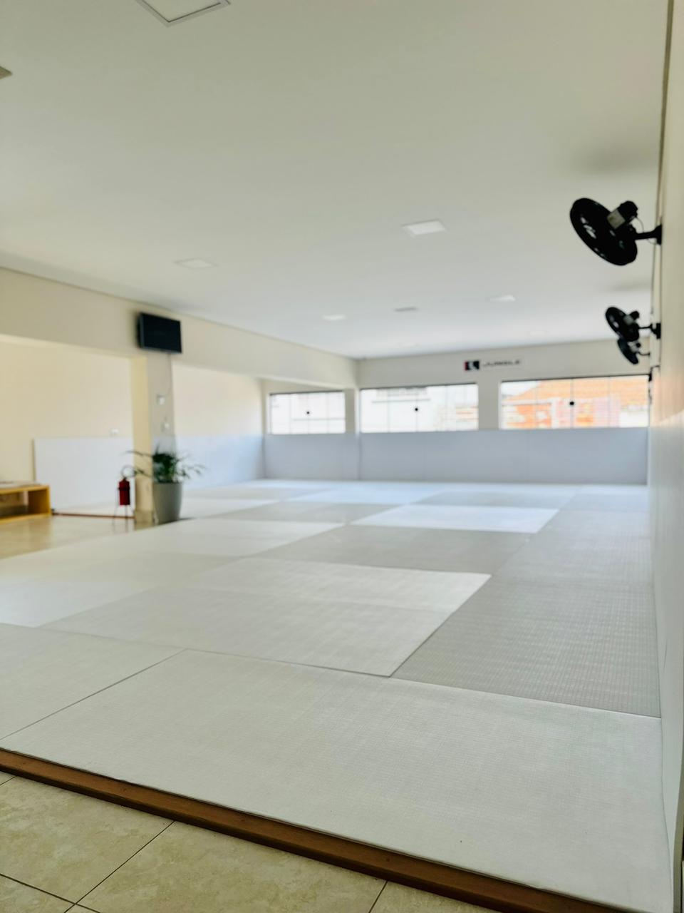 Área de treino - Tatames